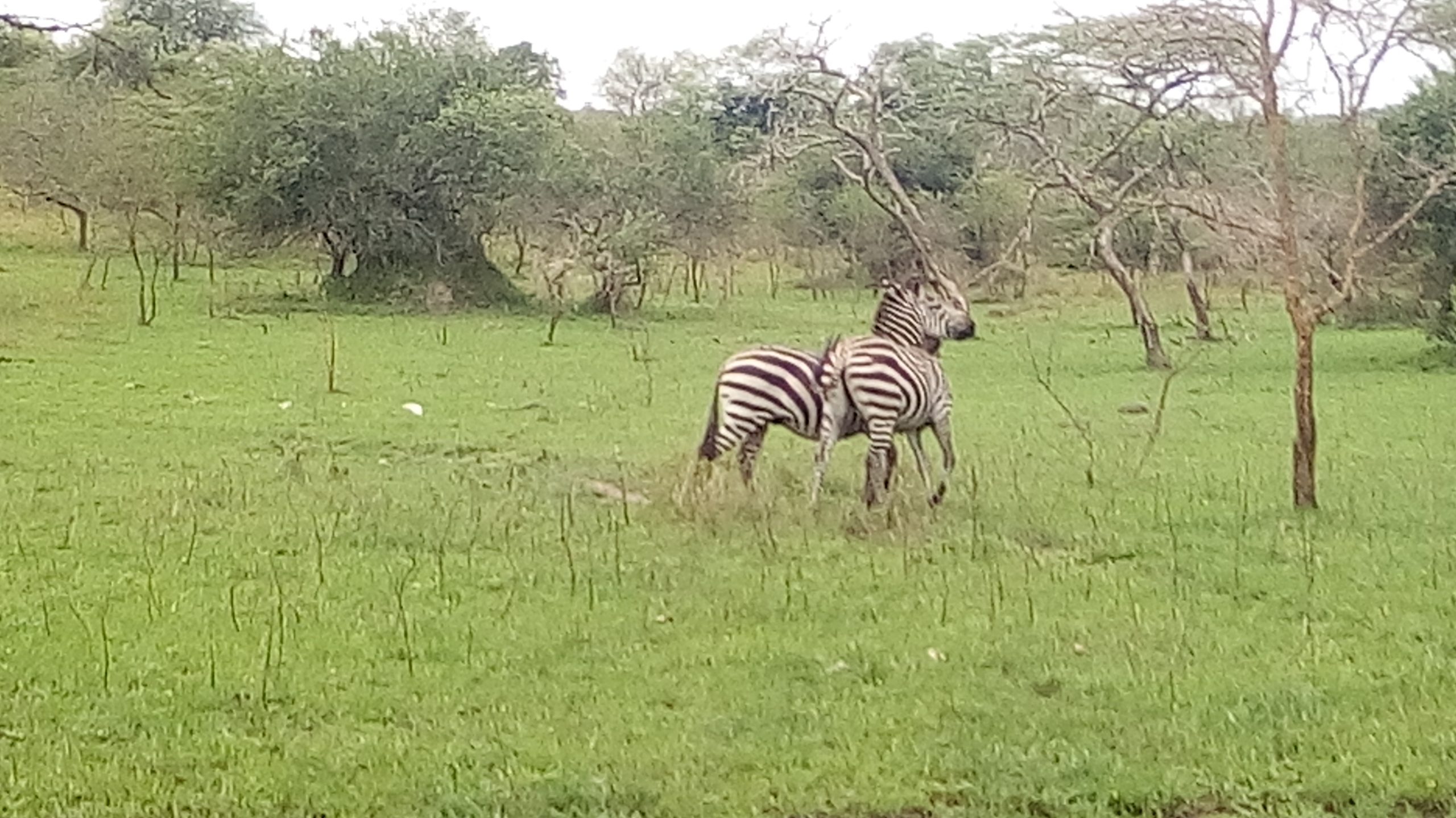 FOUR DAYS KIDEPO VALLEY NATIONAL PARK